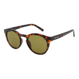 SUNGLASSES - OCCL5435