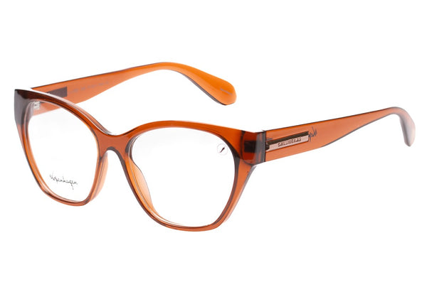 OPTICAL GLASSES - LVIJ0351