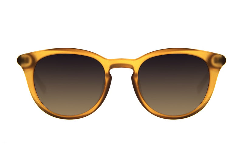 SUNGLASSES - OCCL4105