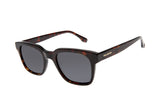 SUNGLASSES - OCCL4465