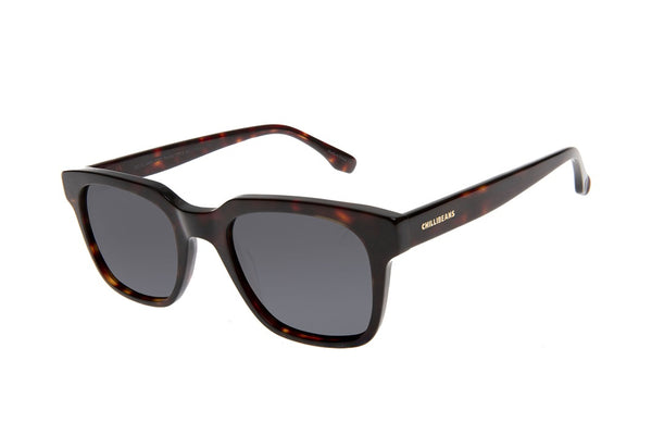 SUNGLASSES - OCCL4465