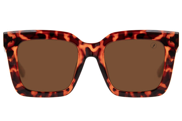 SUNGLASSES - OCCL4189