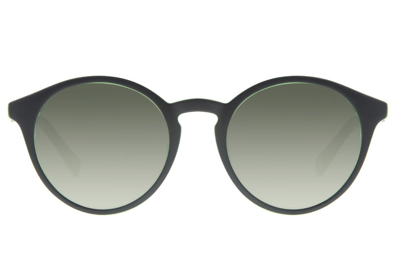 SUNGLASSES - OCCL3344