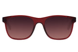 SUNGLASSES - OCCL3786