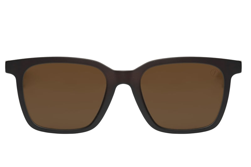 SUNGLASSES - OCCL4583