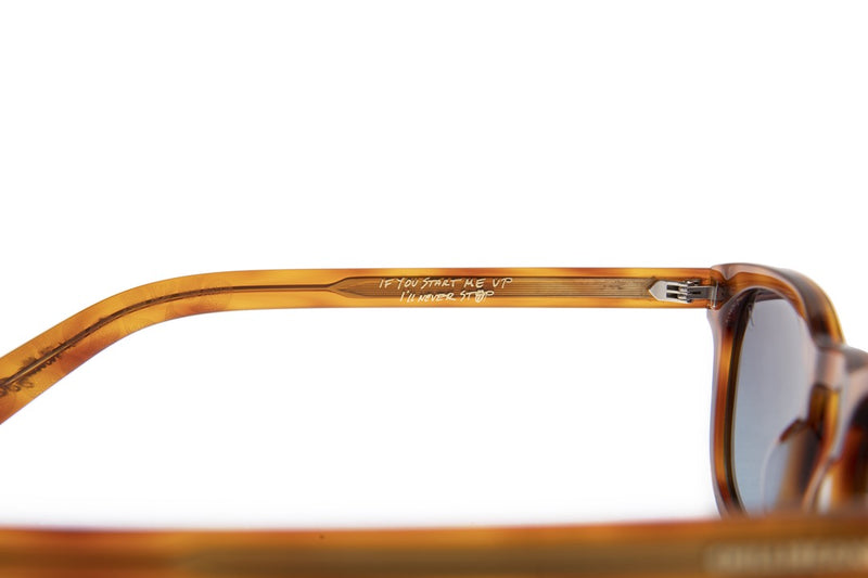 SUNGLASSES - OCCL4131