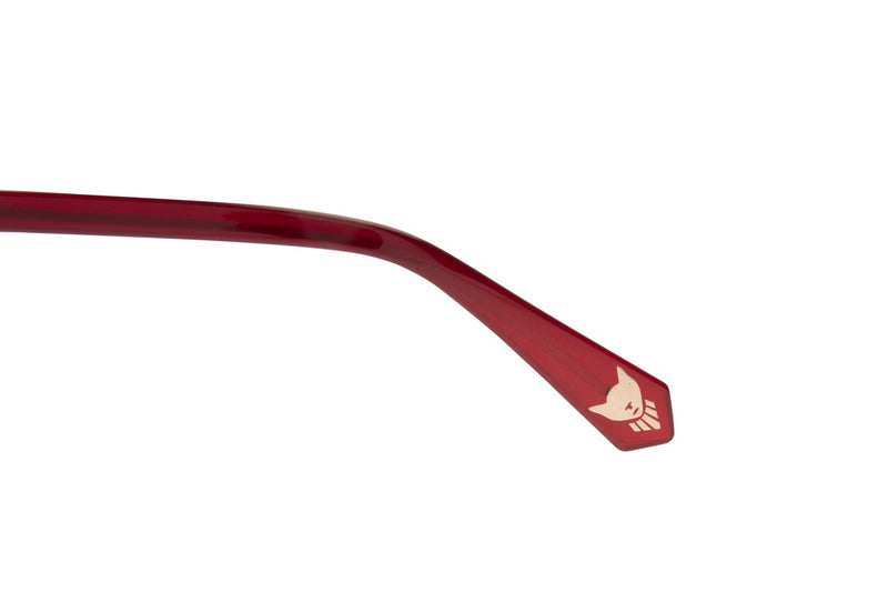 SUNGLASSES - OCCL4042
