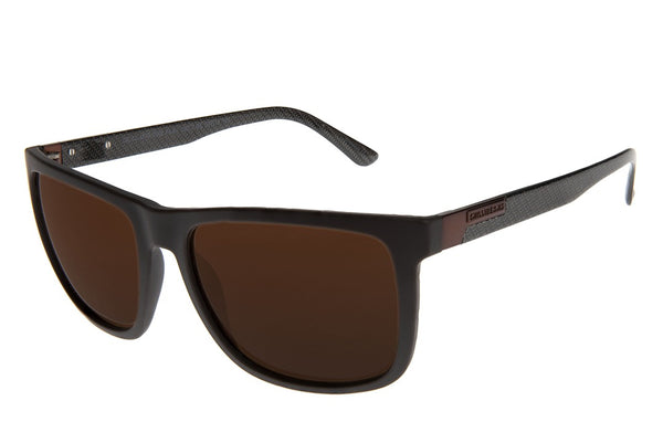 SUNGLASSES - OCCL4578