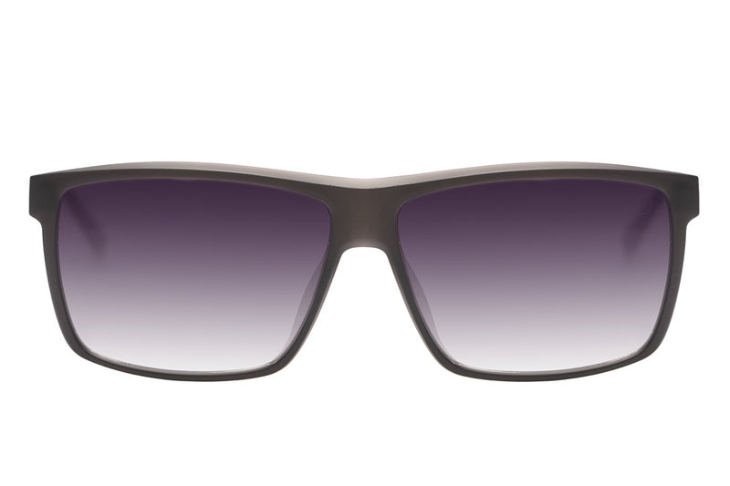 SUNGLASSES - OCCL4493
