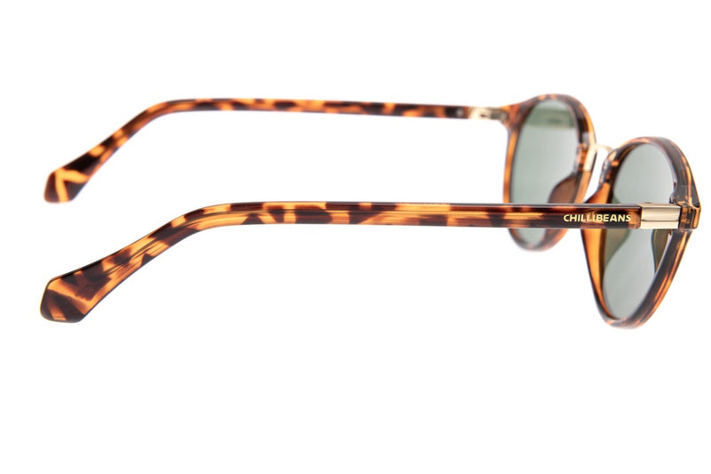 SUNGLASSES - OCCL3941