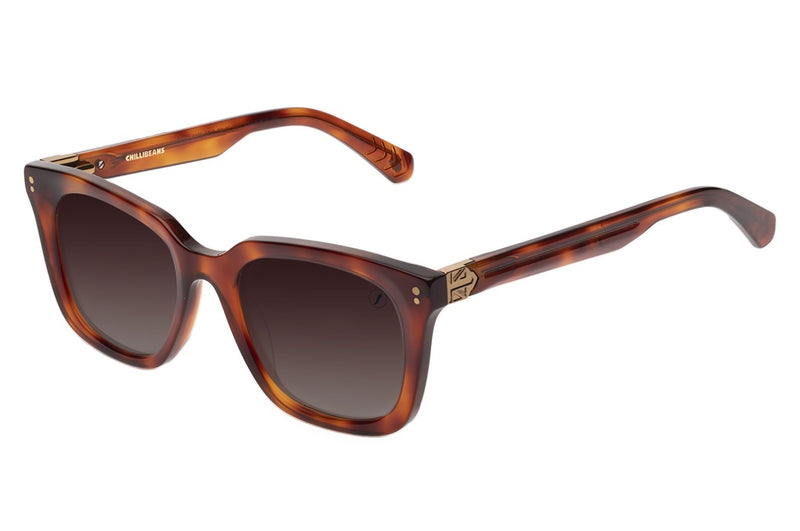 SUNGLASSES - OCCL4106