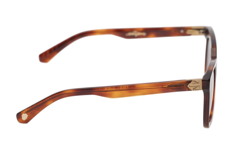 SUNGLASSES - OCCL4106