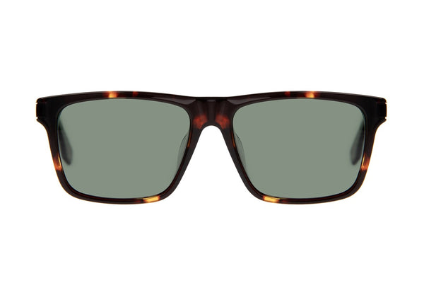 SUNGLASSES - OCCL4372