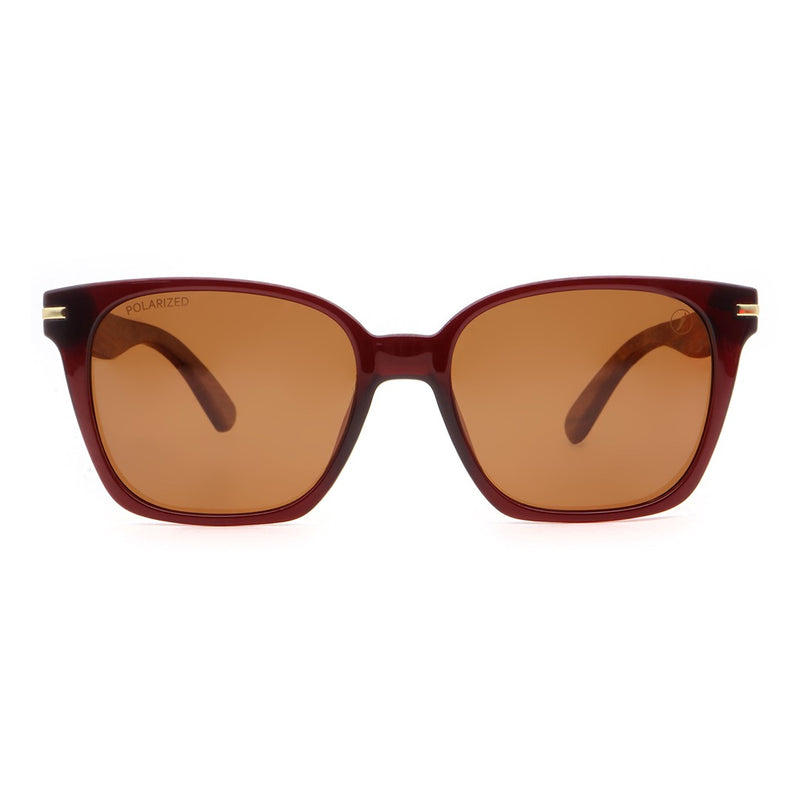 SUNGLASSES - OCCL5008