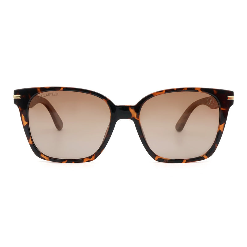 SUNGLASSES - OCCL5008
