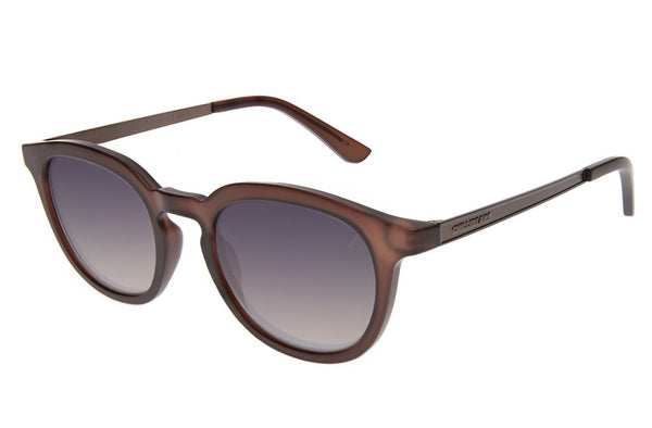 SUNGLASSES - OCCL3581