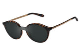 SUNGLASSES - OCCL4432