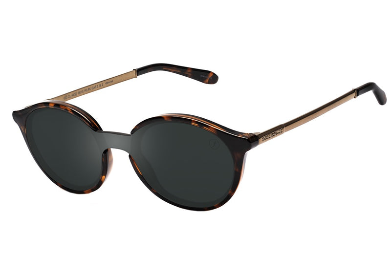 SUNGLASSES - OCCL4432