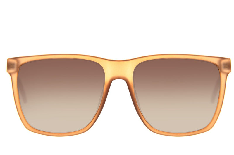 SUNGLASSES - OCCL3864