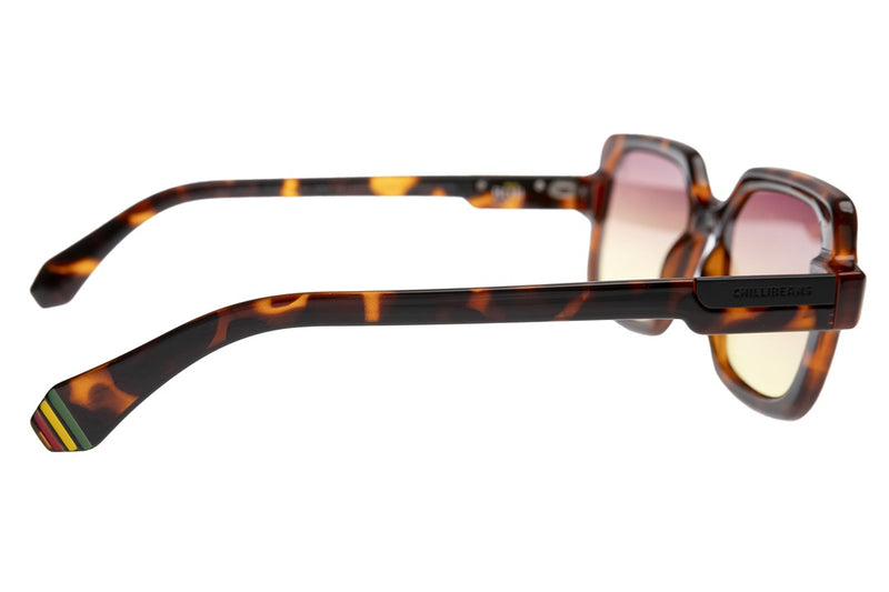 SUNGLASSES - OCCL4445