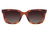 SUNGLASSES - OCCL4106
