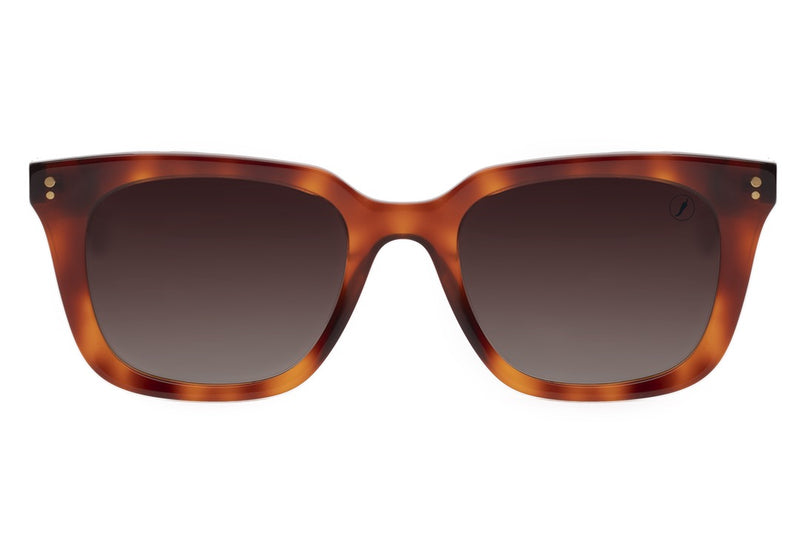 SUNGLASSES - OCCL4106
