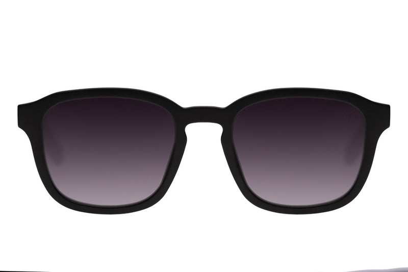 SUNGLASSES - OCCL4143