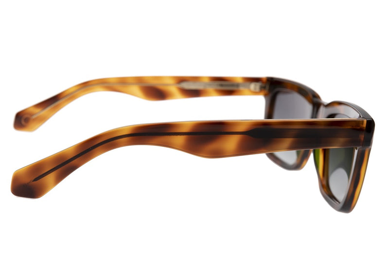 SUNGLASSES - OCCL4115