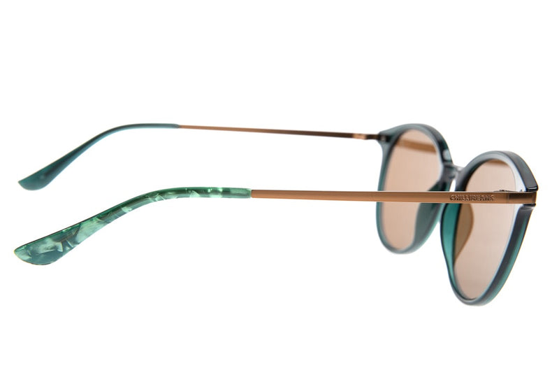 SUNGLASSES - OCCL3998