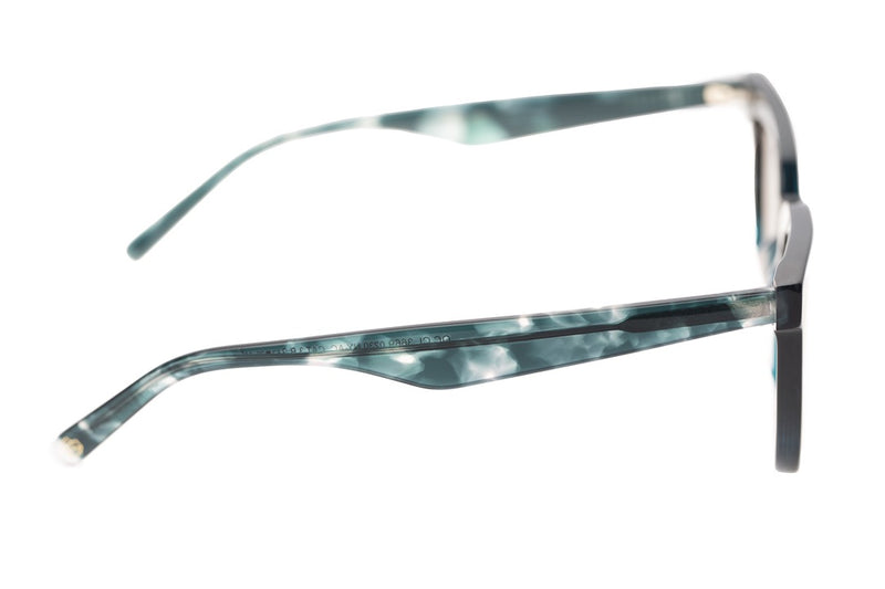 SUNGLASSES - OCCL3669