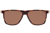 SUNGLASSES - OCCL3611