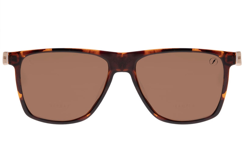 SUNGLASSES - OCCL3611