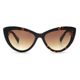 SUNGLASSES - OCCL5168