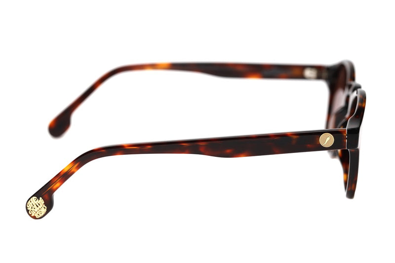 SUNGLASSES - OCCL4126