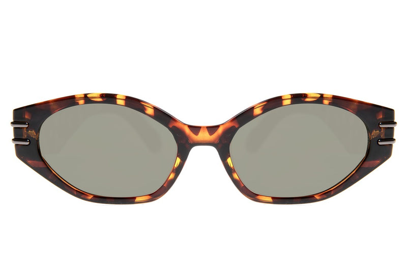 SUNGLASSES - OCCL4188
