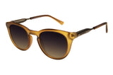SUNGLASSES - OCCL4105