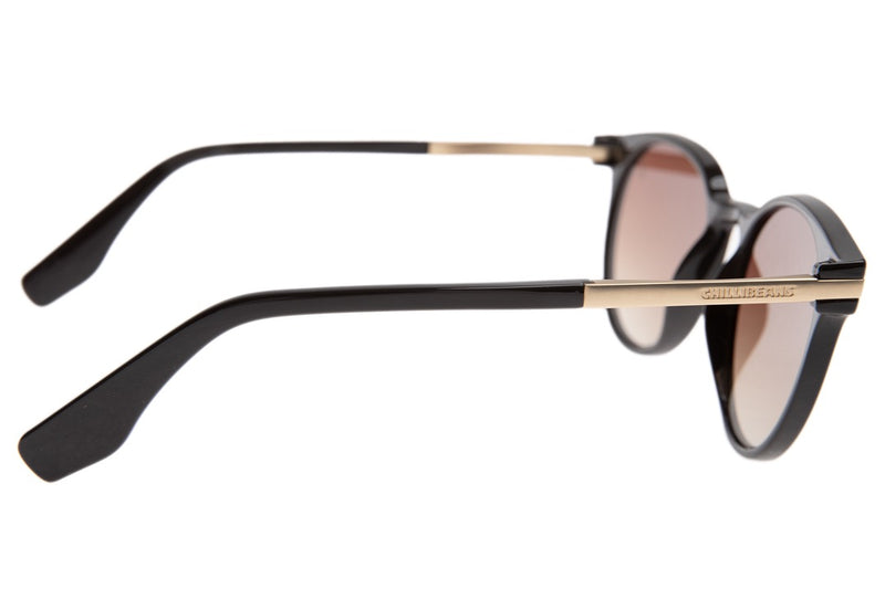 SUNGLASSES - OCCL3612