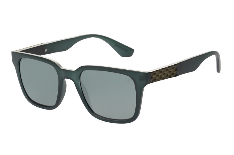 SUNGLASSES - OCCL3975