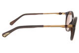 SUNGLASSES - OCCL3344