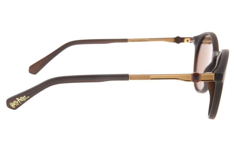 SUNGLASSES - OCCL3344