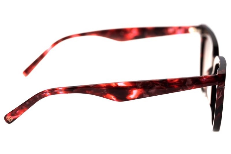 SUNGLASSES - OCCL3669