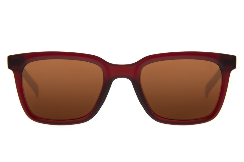 SUNGLASSES - OCCL4397