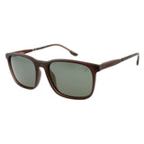 SUNGLASSES - OCCL5186