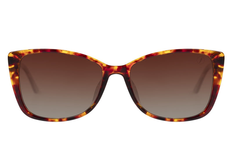 SUNGLASSES - OCCL4275