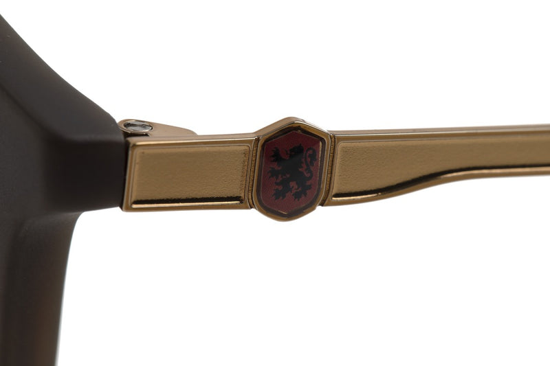 SUNGLASSES - OCCL3344