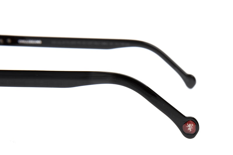 SUNGLASSES - OCCL4173