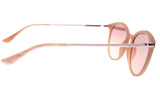 SUNGLASSES - OCCL3998