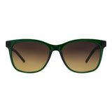 SUNGLASSES - OCCL5485