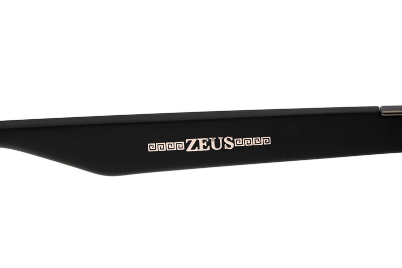SUNGLASSES - OCCL4215
