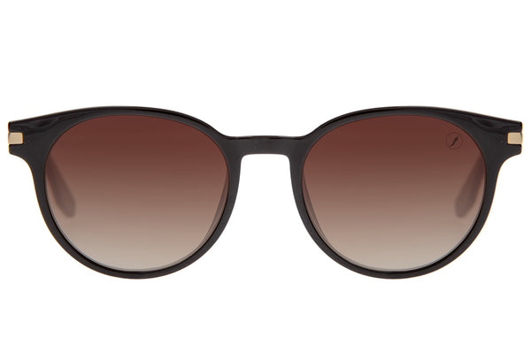 SUNGLASSES - OCCL3612